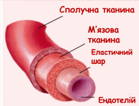 0500zw43-5483-281x214.png