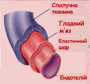 0500zw5l-0aff-299x279.png