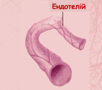 0500zw6n-b973-205x181.png