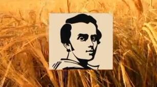Визначні діячі про Тараса Шевченка