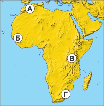 050100fv-77ed-352x360.png