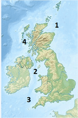 050103n9-364c-252x380.png