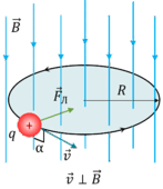 050103rg-4f45-147x170.png