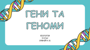 Презентація до уроку " Гени геном"
