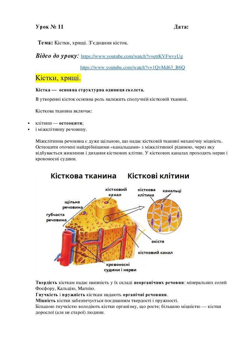Кістки, хрящі. З’єднання кісток. | Конспект. Біологія