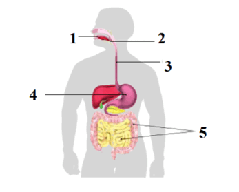 050106pr-9452-347x279.png