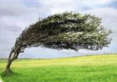 050108f6-b2c2-166x117.png