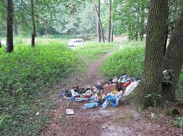 Штрафи за залишене в лісі сміття зросли у 5 разів