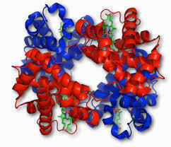 050109g1-4dcb-242x208.jpg