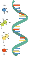 050109g6-b0ec-151x233.png