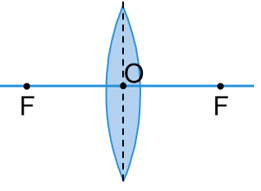 05010bzf-d949-261x191.png