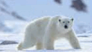 05010d51-900d-187x107.png