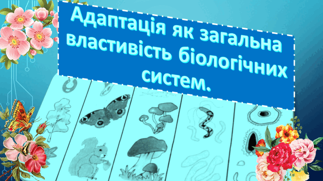 05010dx7-51bb-640x360.png