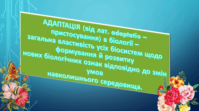 05010dxg-142f-640x360.png