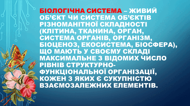 05010dxu-eb95-640x360.png