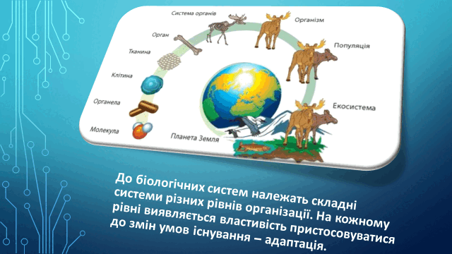 05010dy2-07a3-640x360.png