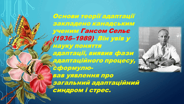 05010dy6-d2c6-640x360.png