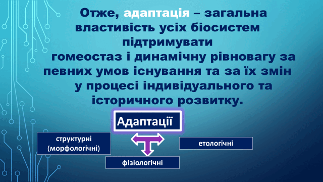 05010dzt-8b9f-640x360.png
