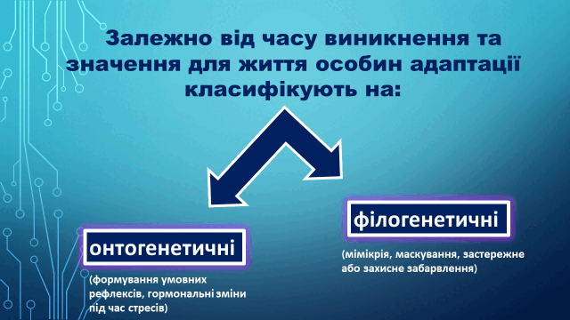 05010e00-55eb-640x360.png