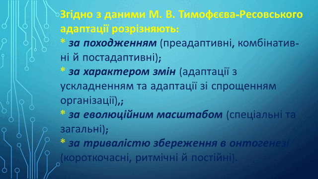 05010e0m-486f-640x360.png