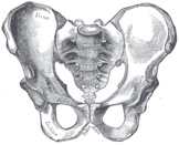 05010gh5-cb54-162x131.png