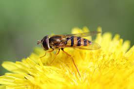 05010hqn-a0f8-275x183.jpg