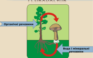 05010huf-6194-319x202.png