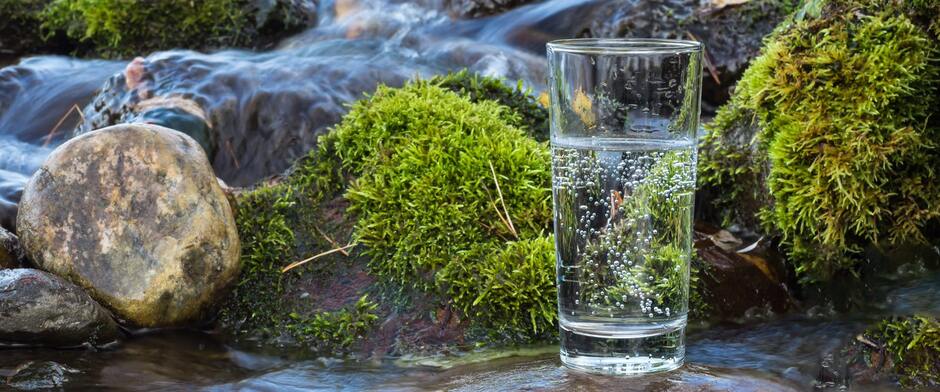 Мінеральні води Трускавця. Що варто знати?