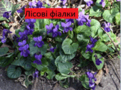 05010l76-f816-79x59.png