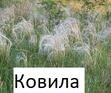 05010l7w-63e5-78x65.jpg