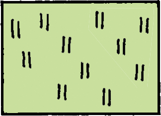 05010o0p-1d6a-324x234.png