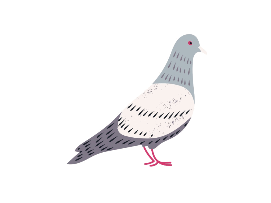 05010se2-acbc-940x705.png