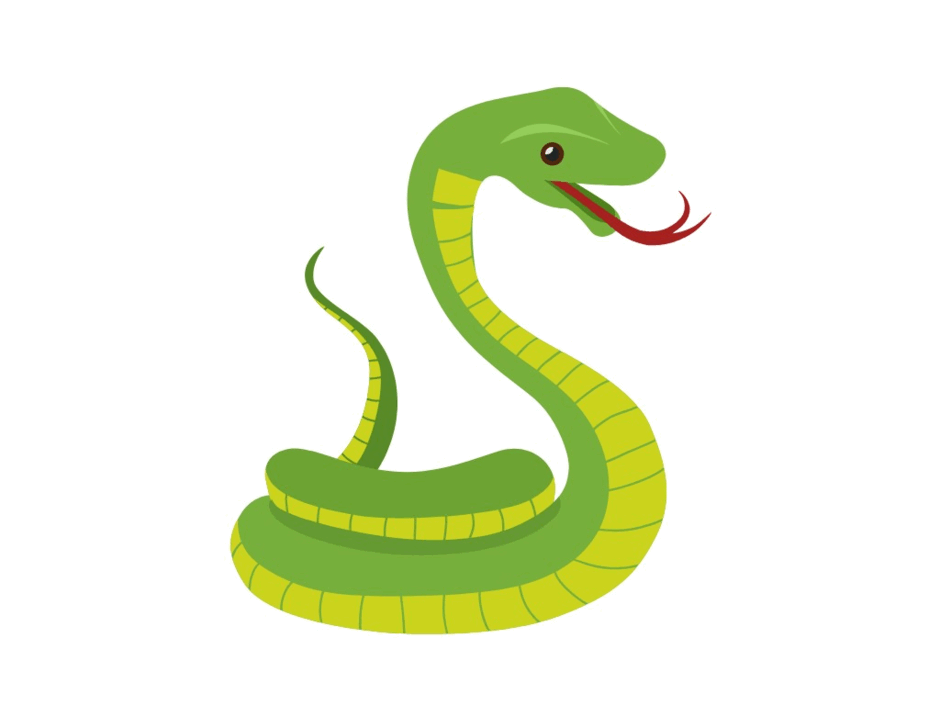 05010sef-708c-940x705.png