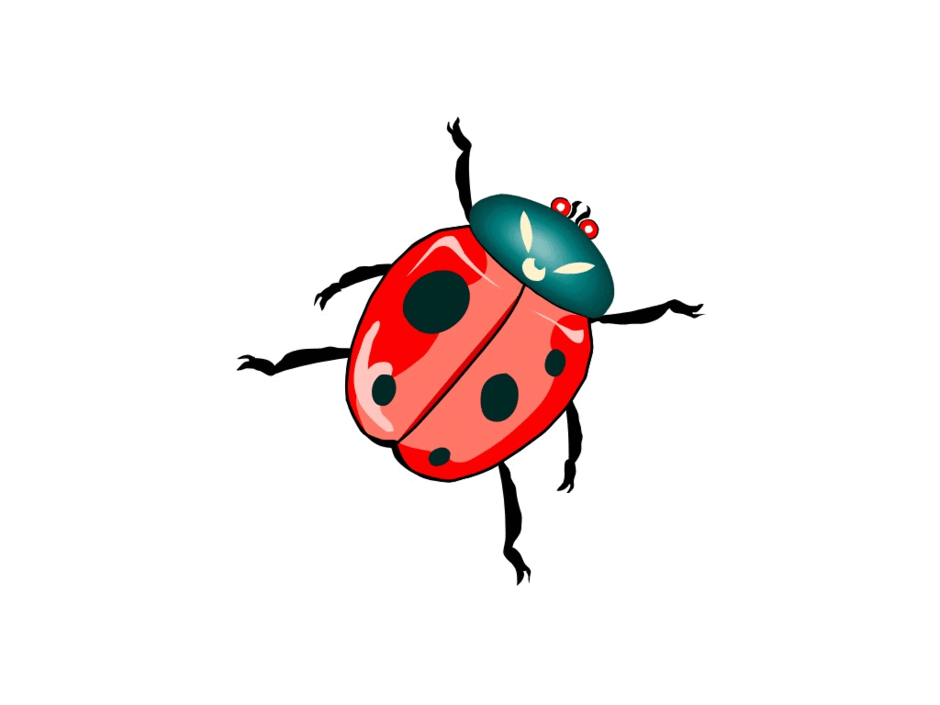 05010sgy-9540-940x705.png