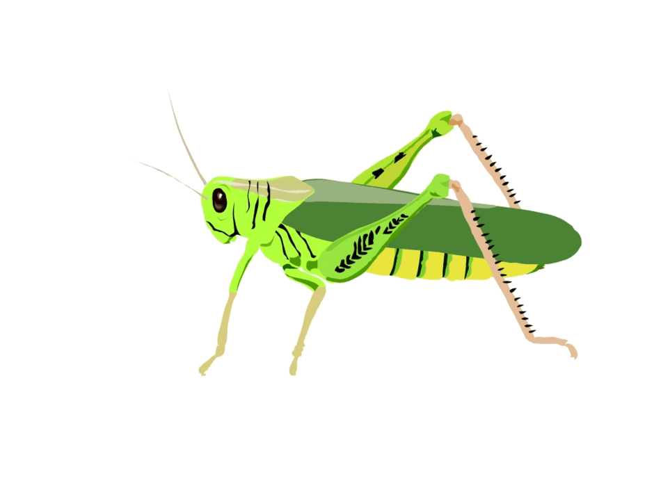 05010sh3-e259-940x705.png