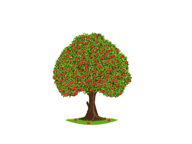 05010tmn-a6f6-385x289.png