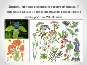 05010viz-3567-305x229.png