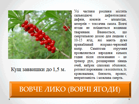 05010vjy-7334-480x360.png