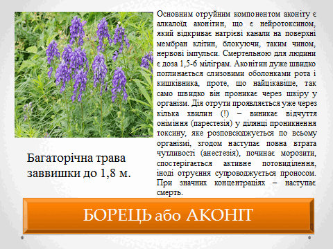 05010vjz-ea62-480x360.png