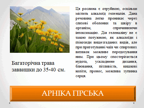 05010vk0-2ca3-480x360.png