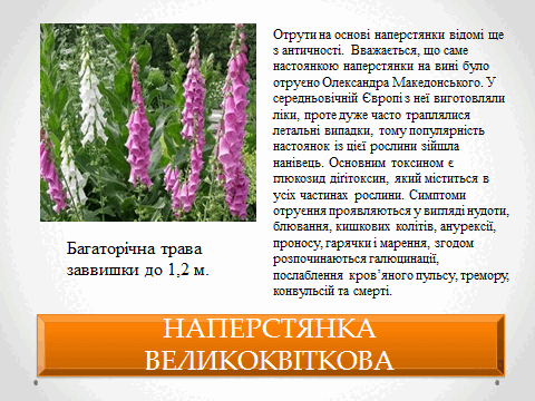 05010vk1-3af8-480x360.png