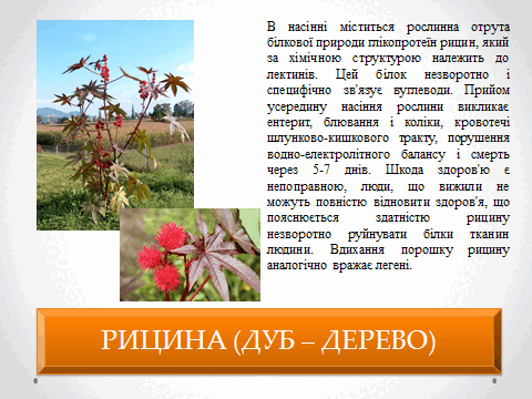 05010vk2-5d56-480x360.png