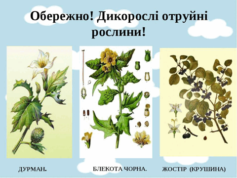 05010vk4-268a-480x360.png