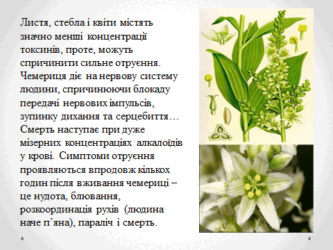 05010vk5-b65f-480x360.png