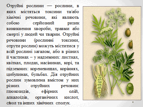05010vk6-547b-480x360.png
