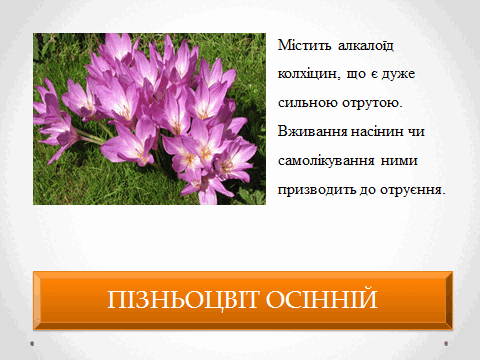 05010vk7-0562-480x360.png