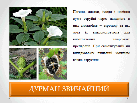 05010vk8-79ee-480x360.png