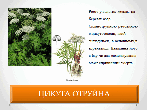 05010vk9-6fd0-480x360.png