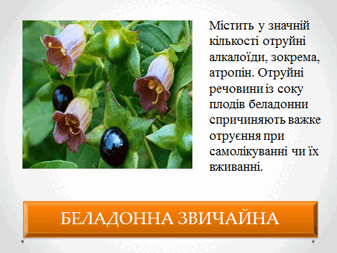05010vka-574a-480x360.png