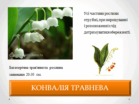 05010vkb-6201-480x360.png